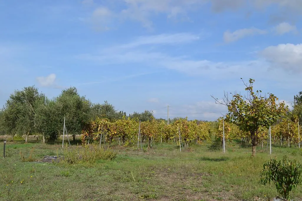 Villa La Scaletta アルゲーロ 0*,  イタリア
